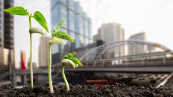 Green Meetings Wir schützen die Umwelt