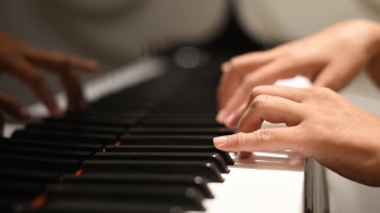 Die Fingerfertigkeit Die Fingerfertigkeit - Professionelle Unterstützung