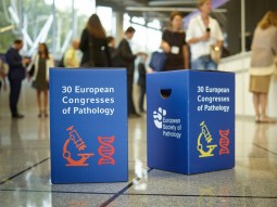 ECP Bilboa Sitzhocker Impressionen des ECP in Bilbao